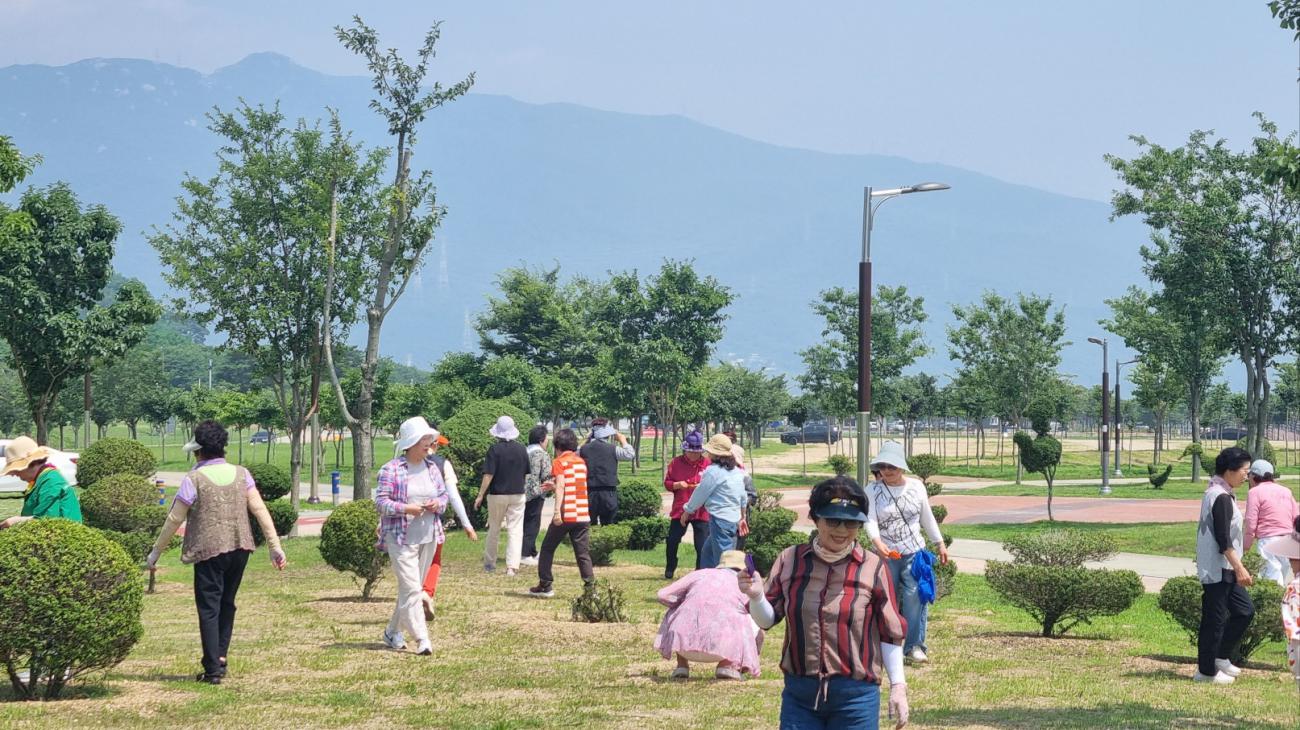 KakaoTalk_20250627_162824397.jpg